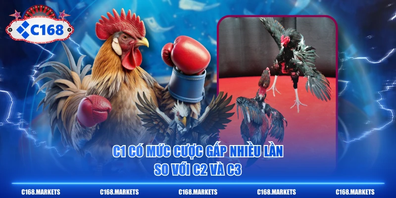Đá Gà C1 Là Gì? 3 Tiêu Chuẩn Khắt Khe Nhất Cần Biết 3 C1 có mức cược gấp nhiều lần so với C2 và C3